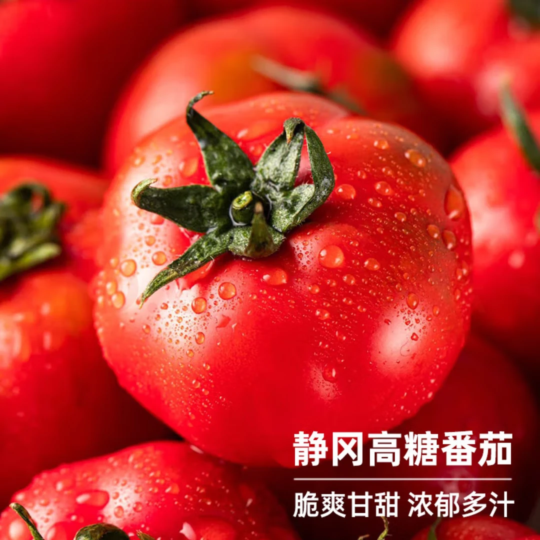 【顺丰包邮】日本品种静冈番茄西红柿高糖度孕妇水果番茄酸甜小番茄2斤4斤装新鲜水果