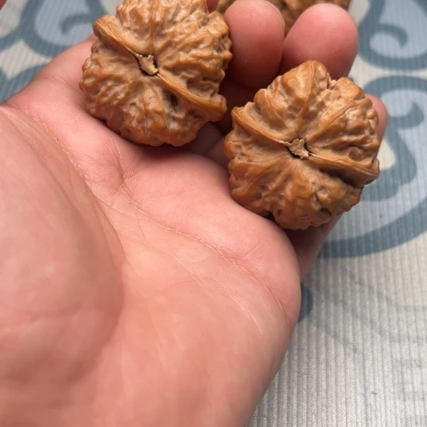 F***X吊坠文玩核桃蛤蟆全品
