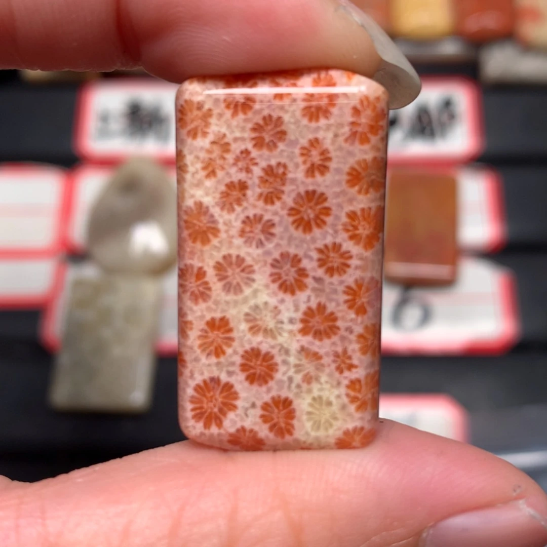 【闪购商品】未镶嵌颈饰硅化玉森**火