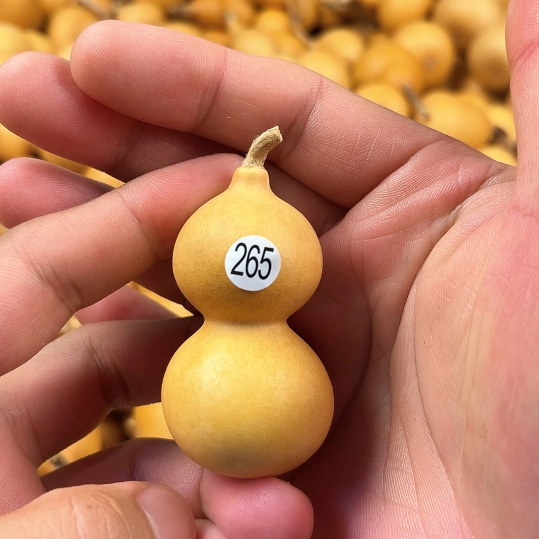 四葫芦葫芦葫芦葫芦265