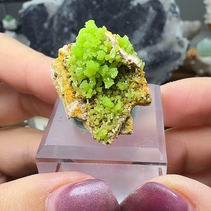 石材9️⃣号磷氯铅标本