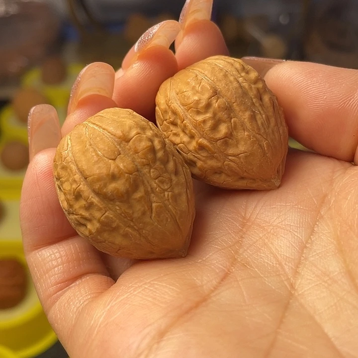 吊坠文玩核桃蛇头