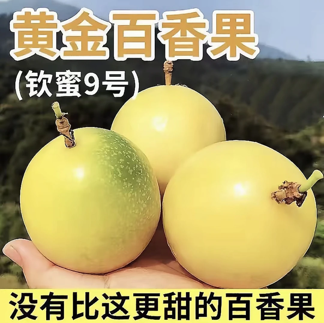 新鲜现摘酸甜多汁当季钦蜜九号百香果果园直发三斤装