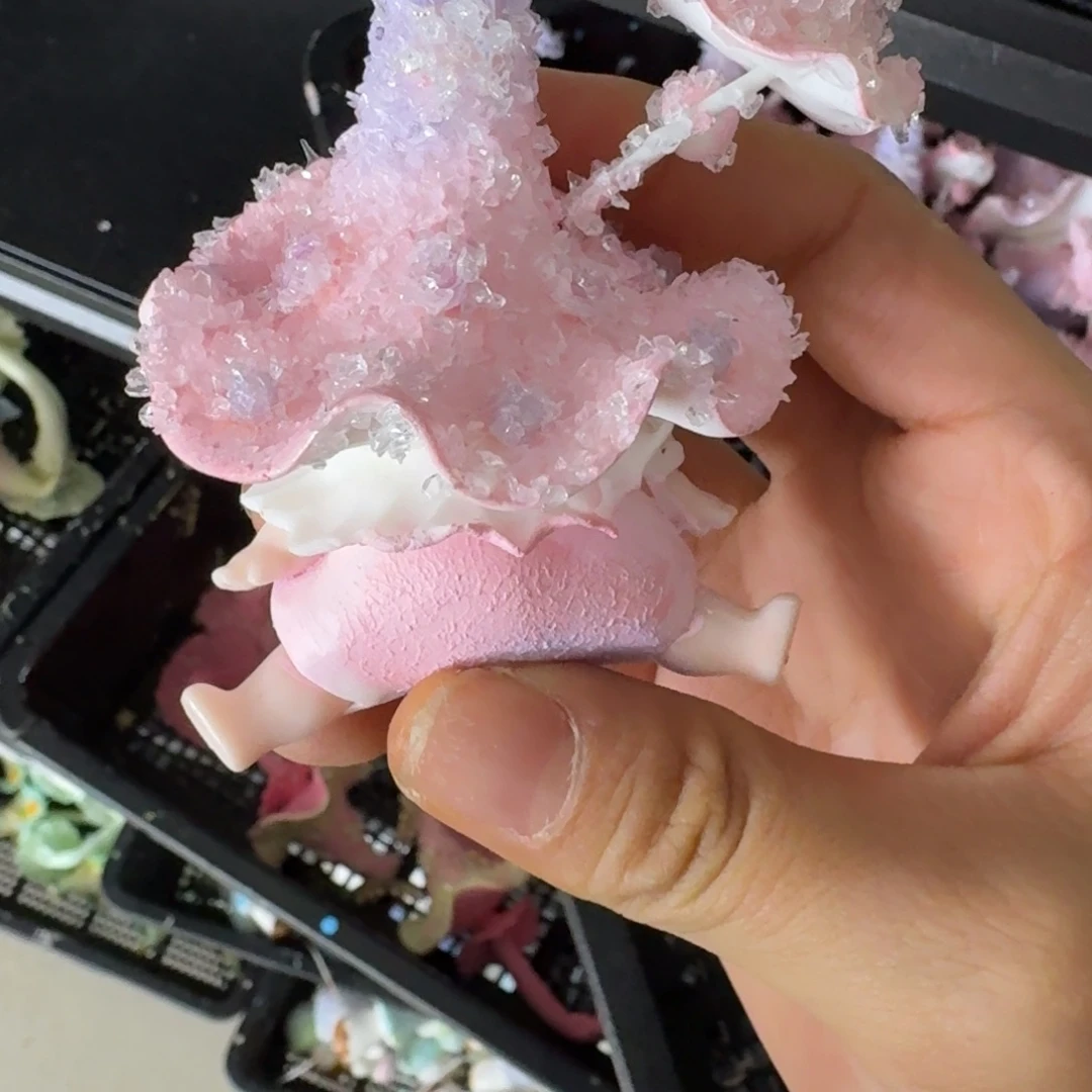 树脂28号哦哦哦哦哦哦哦