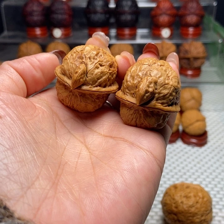 滩***锅把件文玩核桃3金钱龟