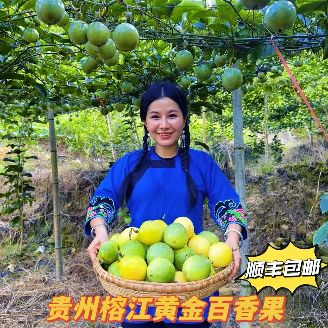 贵州榕江村超百香果正宗新鲜水果高山钦密9号黄金原浆应当季新果