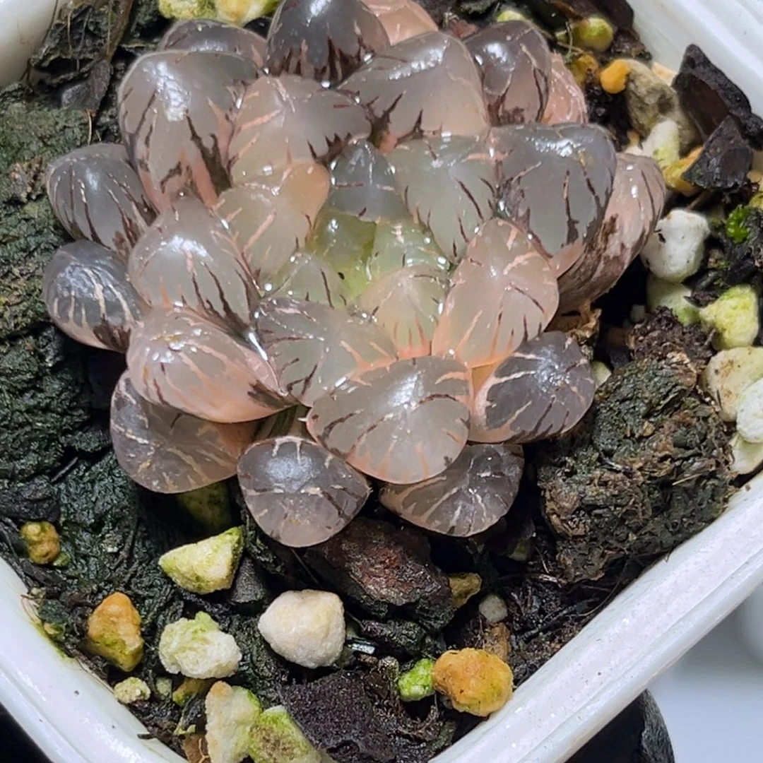 恭喜发财大吉大利0209