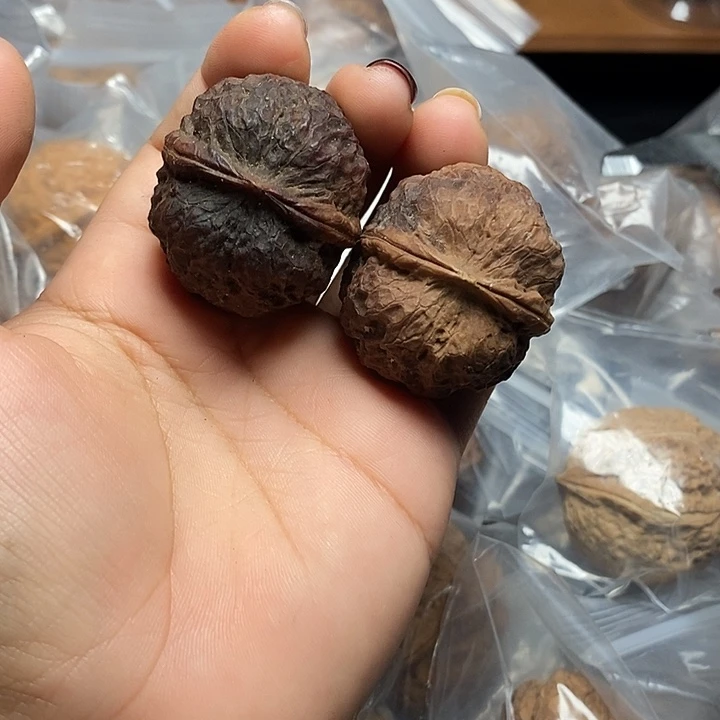 把件文玩核桃云南文玩核桃16号38m