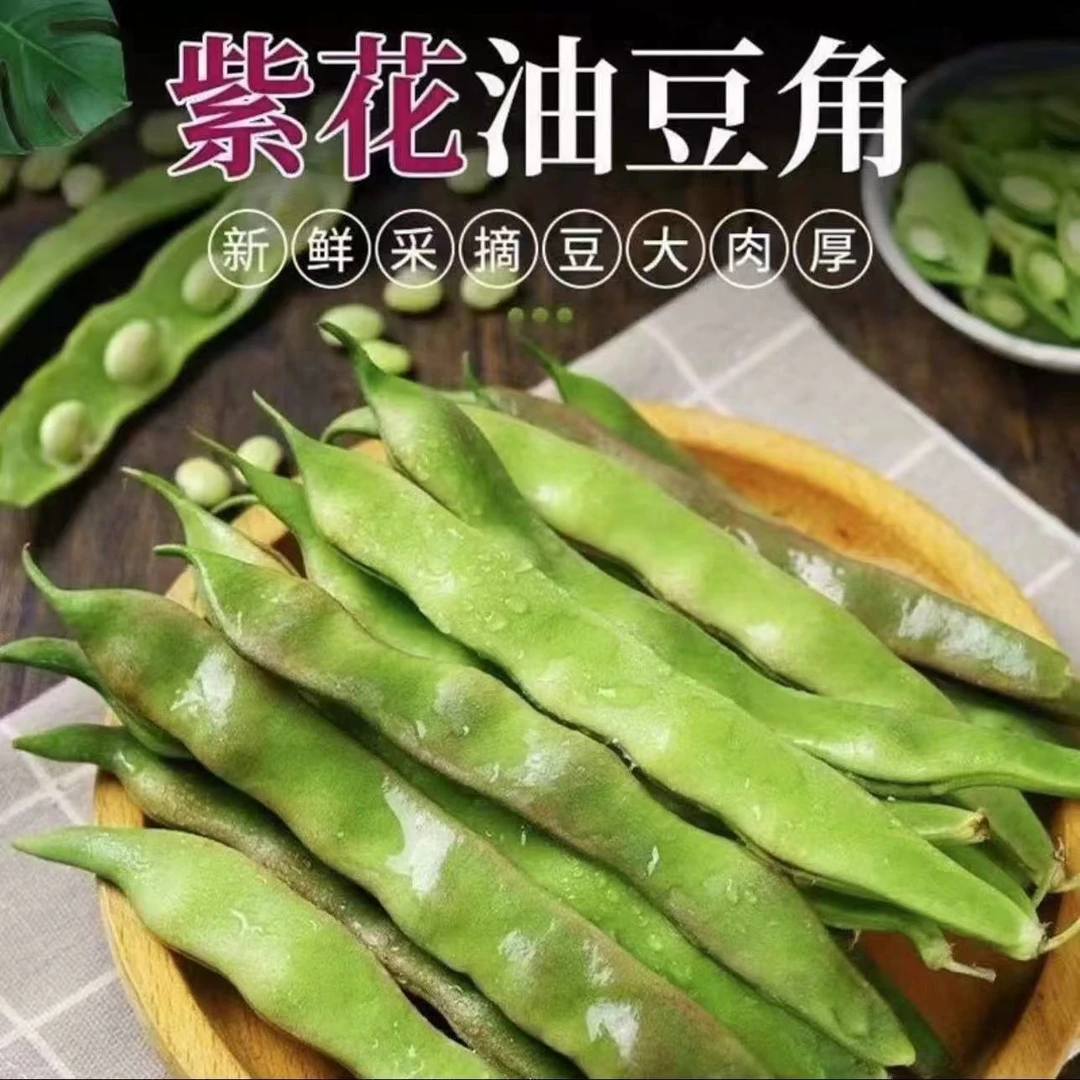 东北新鲜现摘紫花小油豆角开锅即烂口感鲜美炒菜炖排骨
