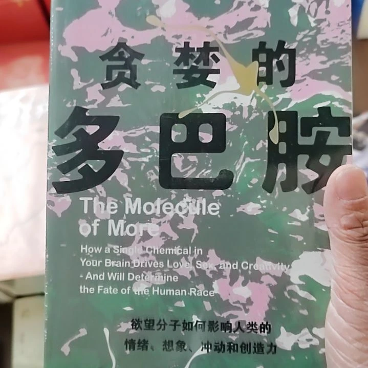 贪婪的多巴胺中信