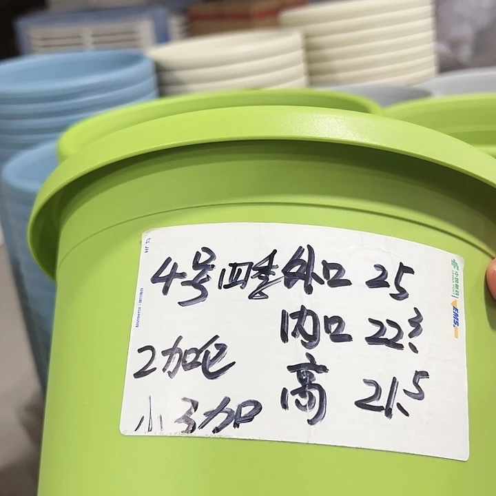 特价4号口25高21.5果绿无托8只