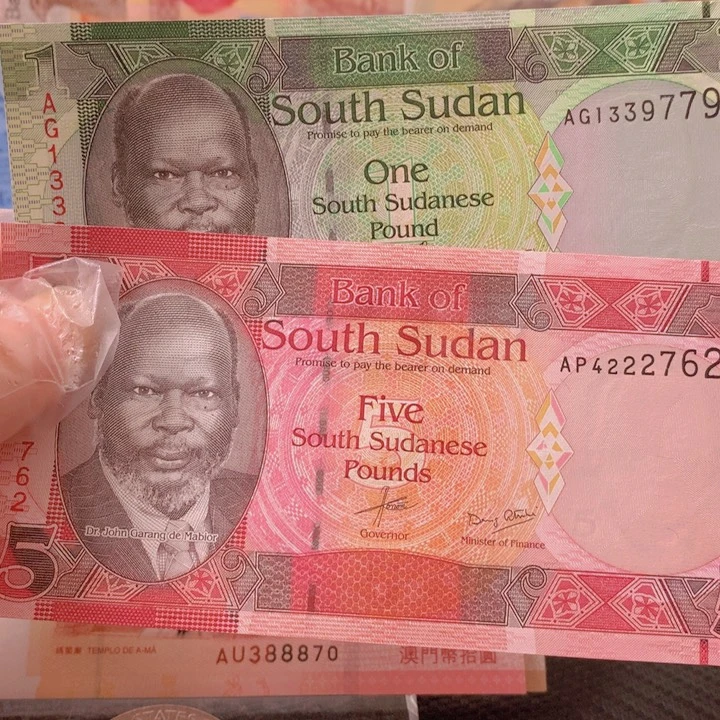纸币全新纸币南苏丹2张