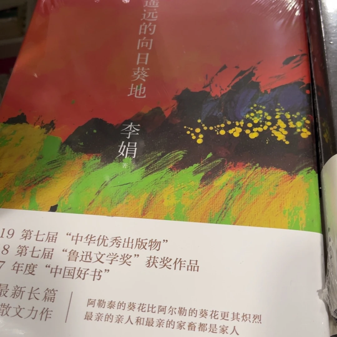 遥远的向日葵地精装一个