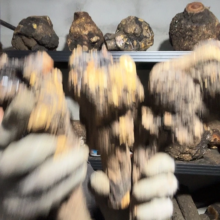 e***K香榧木火琉璃的故事是一个