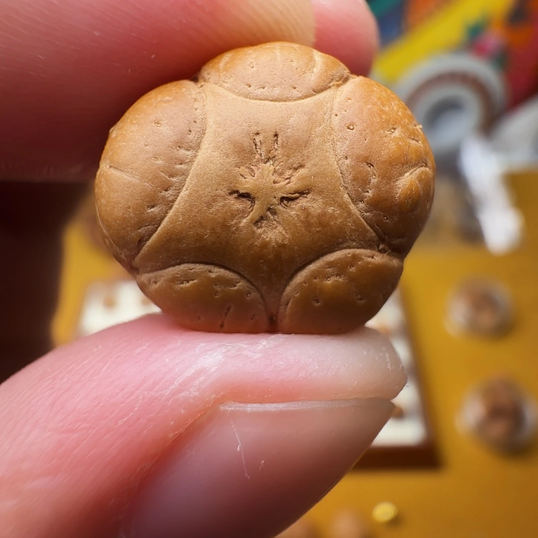 18+梅花五星，一物一图