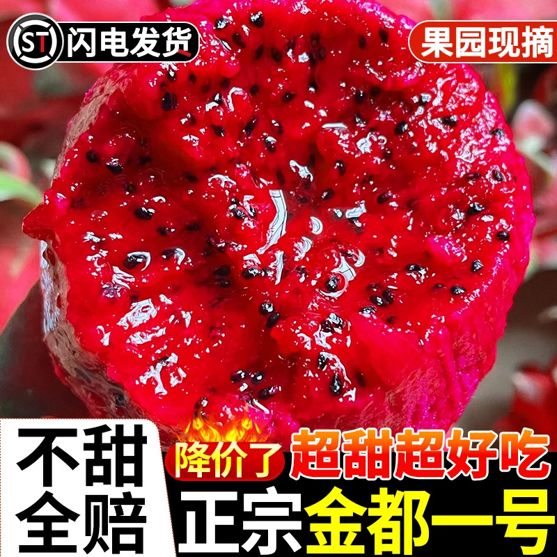 鲜菲尚（签收后冰箱储存）广西金都红心火龙果5斤新鲜现摘十个装