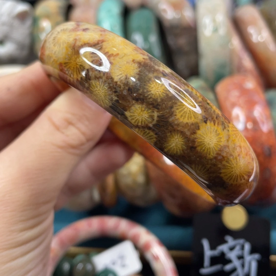 未镶嵌手镯硅化玉