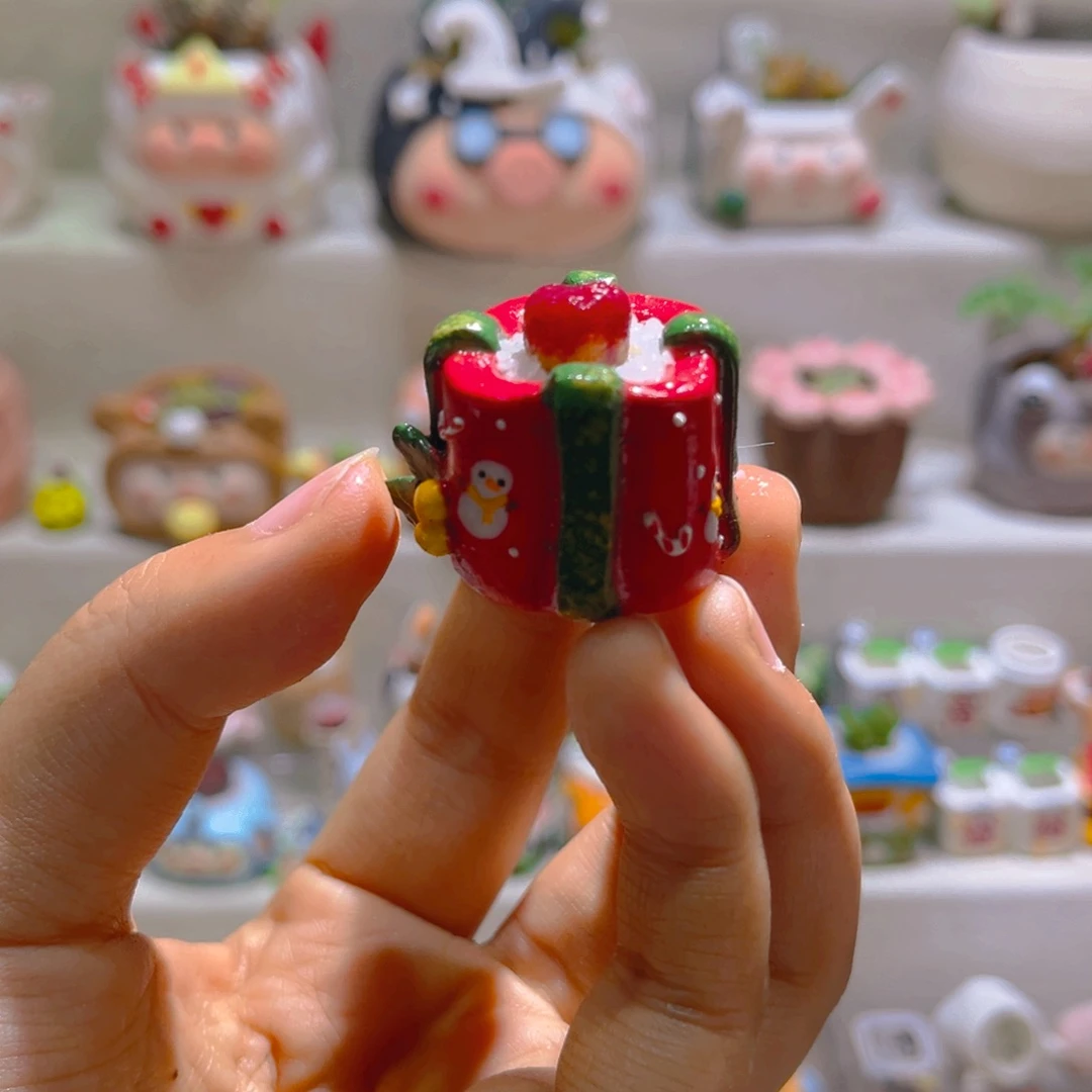 009高端多肉毛杂带盆土一套35