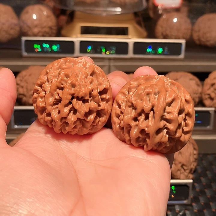 校***·文玩核桃把件秦闷