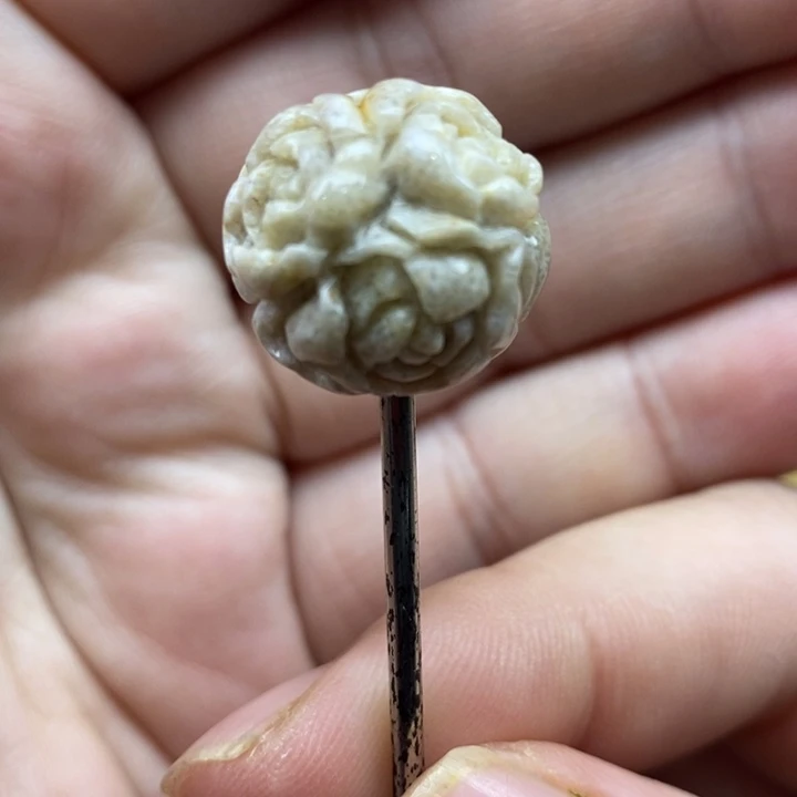 颈饰未镶嵌硅化珊瑚（珊瑚玉）