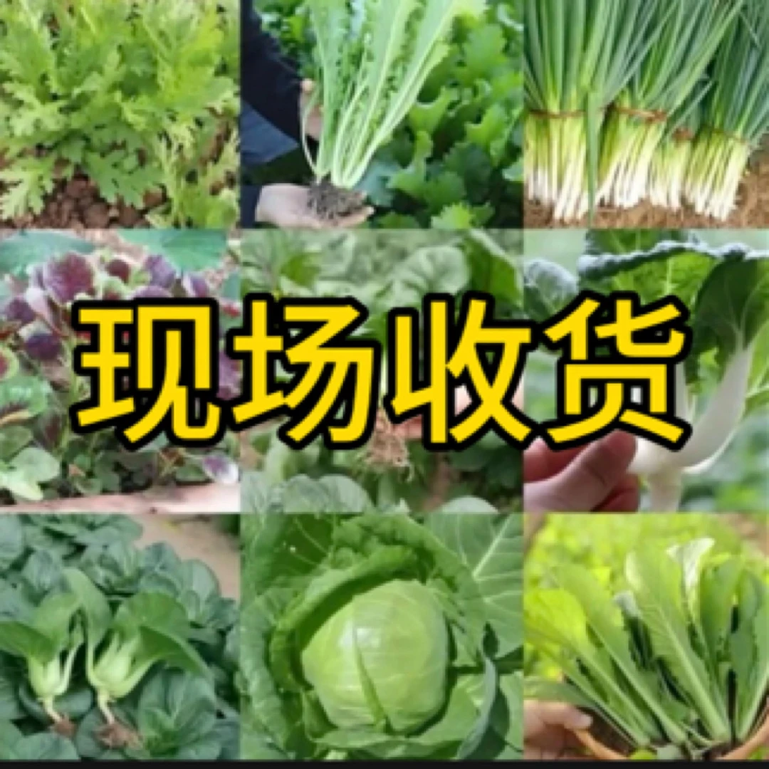【现场收货】农家蔬菜瓜果大集合