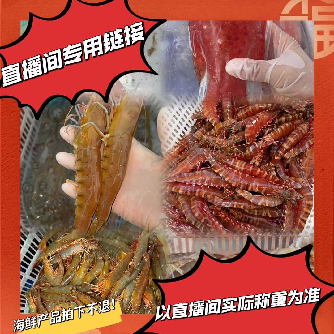 野生海鲜拼单改价专用链接（以直播间为准）冷冻发货 拍下不退