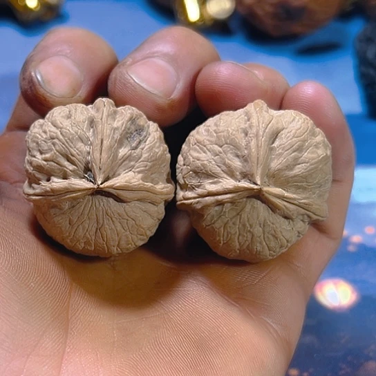 文玩核桃把件10号蚂蚱头卡34.5