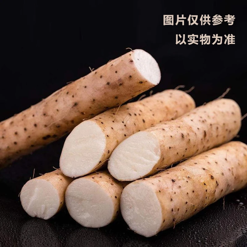 正宗内蒙古阿拉善肉苁蓉搭配伴侣