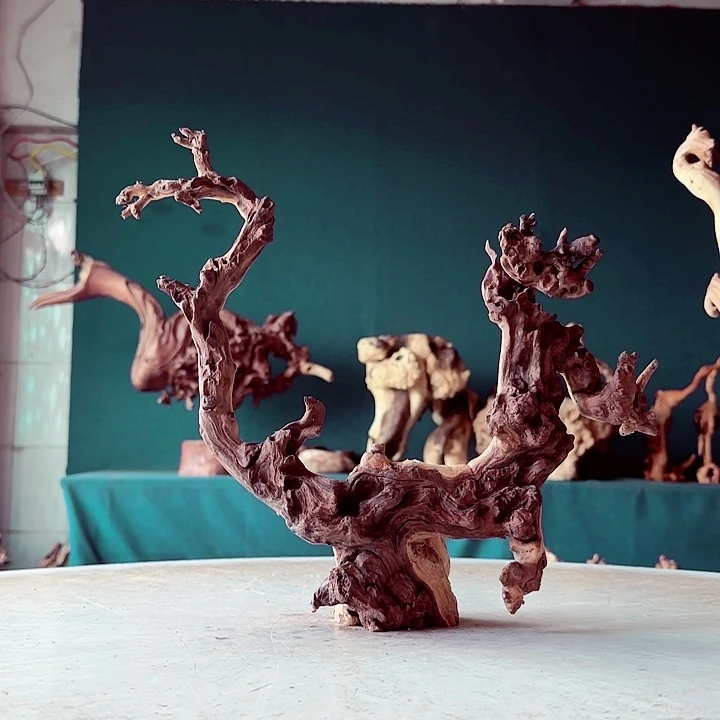 森***@金丝檀157 金丝红木羊蹄甲半成品