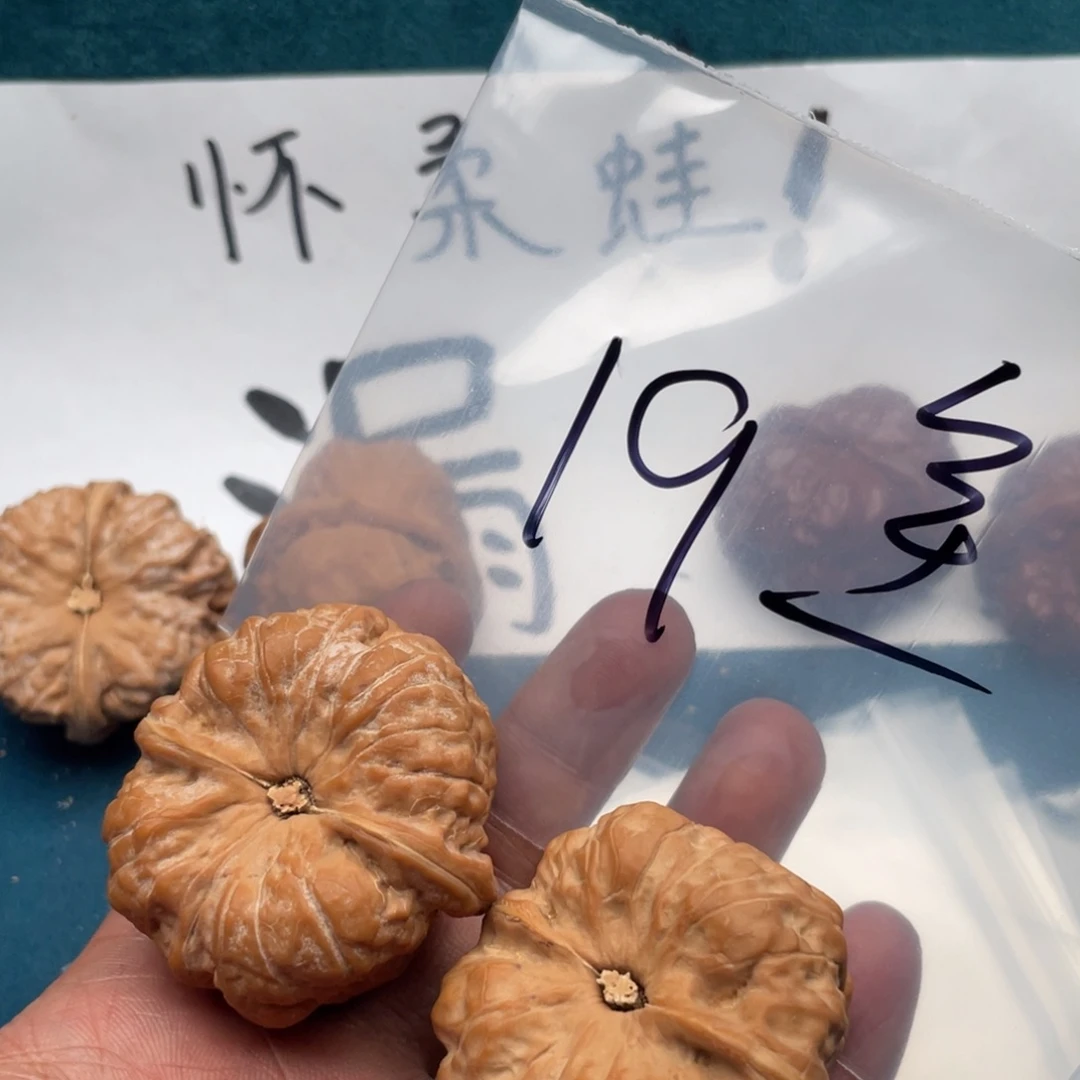 亮***.核桃537753375537375573357357