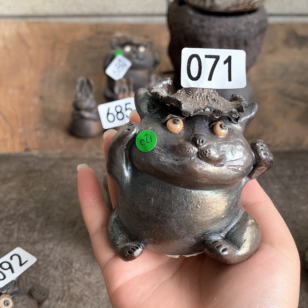 一***朵茶宠一一一一一071