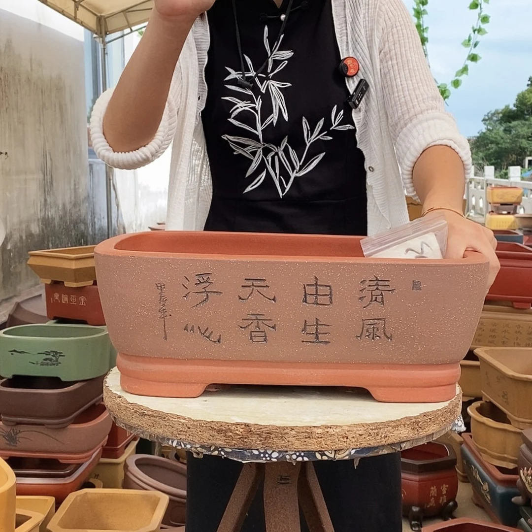 紫砂花盆紫砂花盆