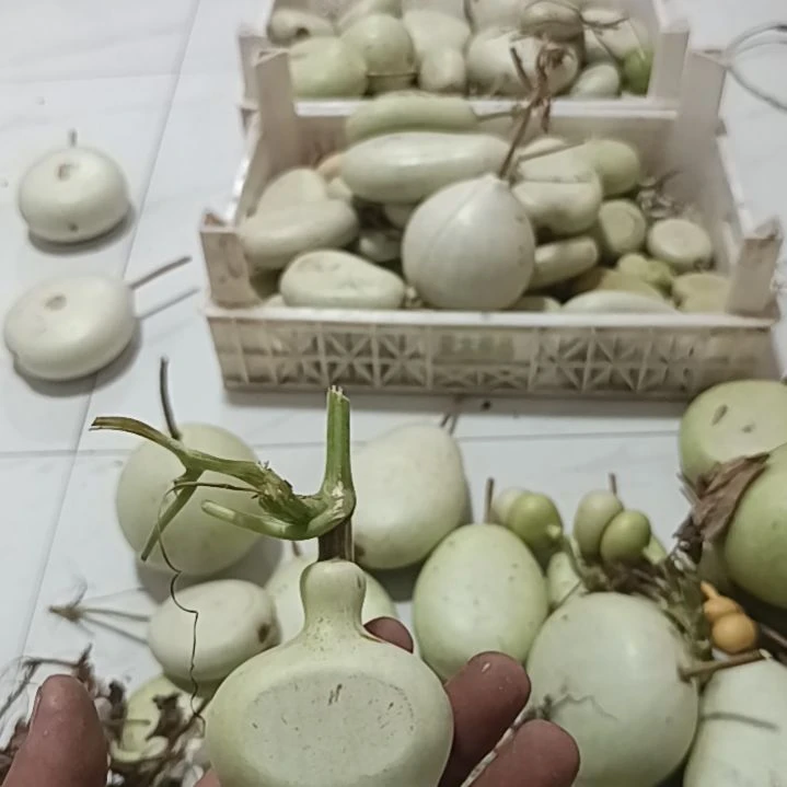 哈哈哈以后好哈哈哈哈哈哈哈哈哈哈