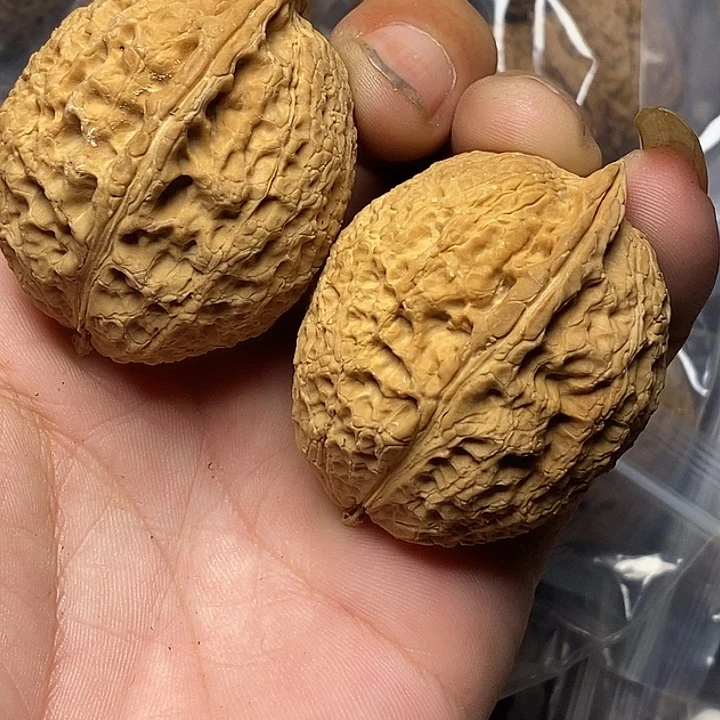 文玩核桃把件云南铁核桃44号40mm