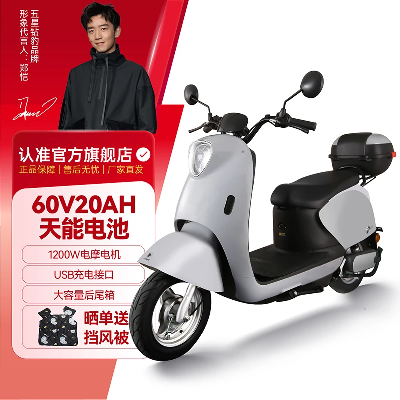 五星钻豹60V20AH长续航电动摩托车1200W上下班代步电动车G1