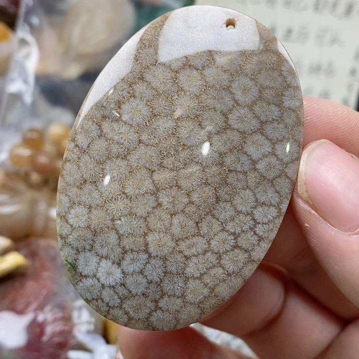 硅化珊瑚（珊瑚玉）未镶嵌颈饰