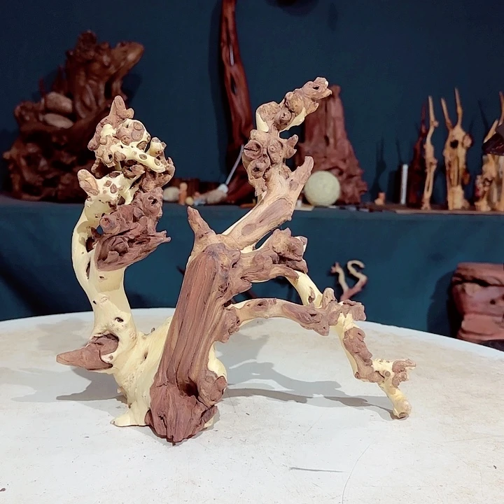 黑果木彬*284金丝红木羊蹄甲半成品