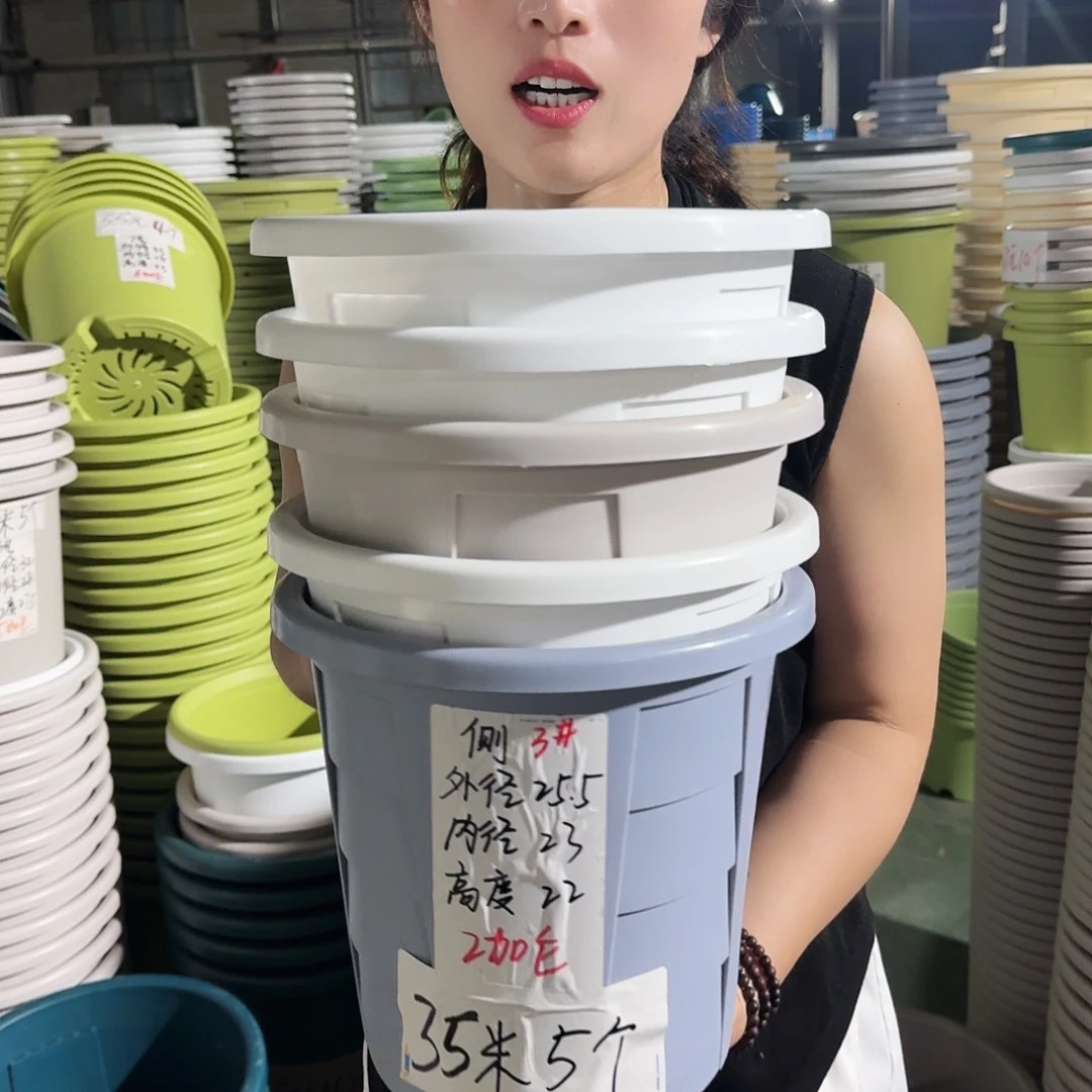 测孔3#无拖灰白5个