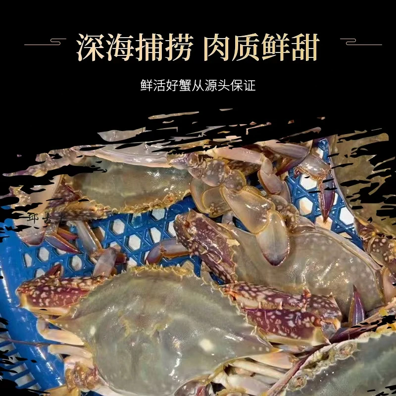 【大特价】【保鲜不保活】威海鲜活梭子蟹 2斤8只（2.5两一只）母蟹
