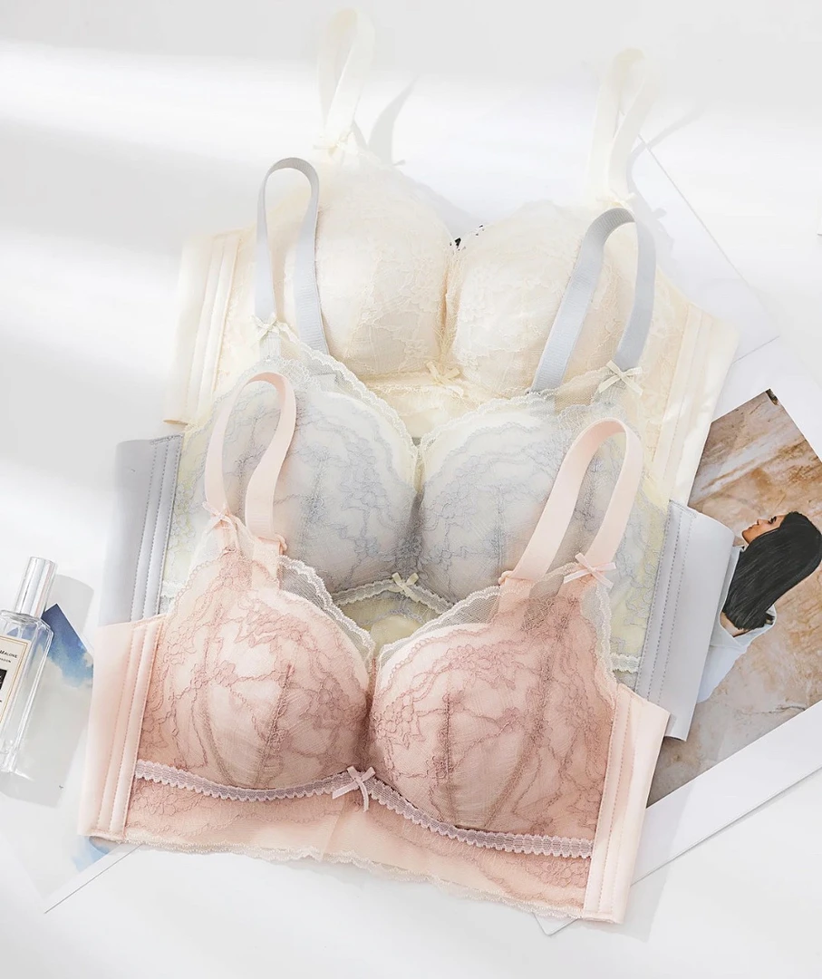 聚拢内衣文胸【编号1-100】