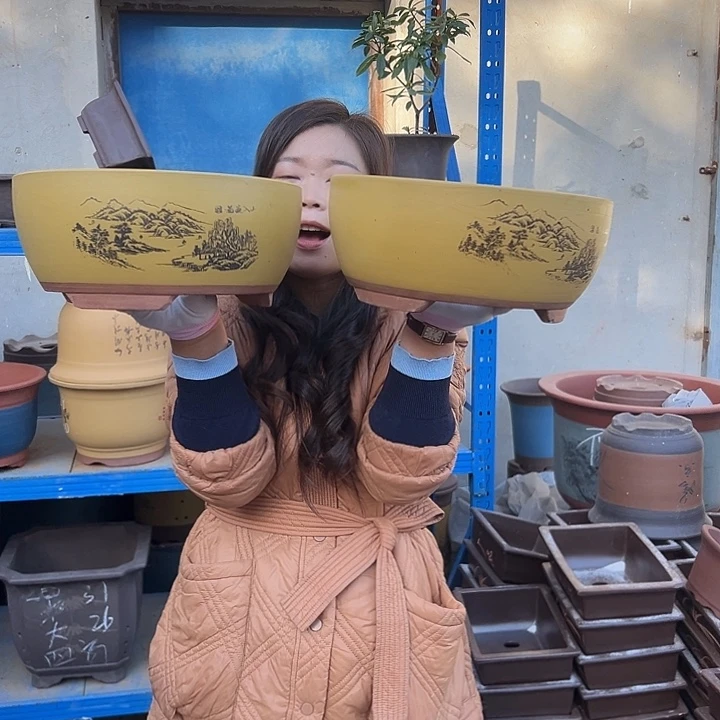 黄色江山如画中一对花盆花盆花盆