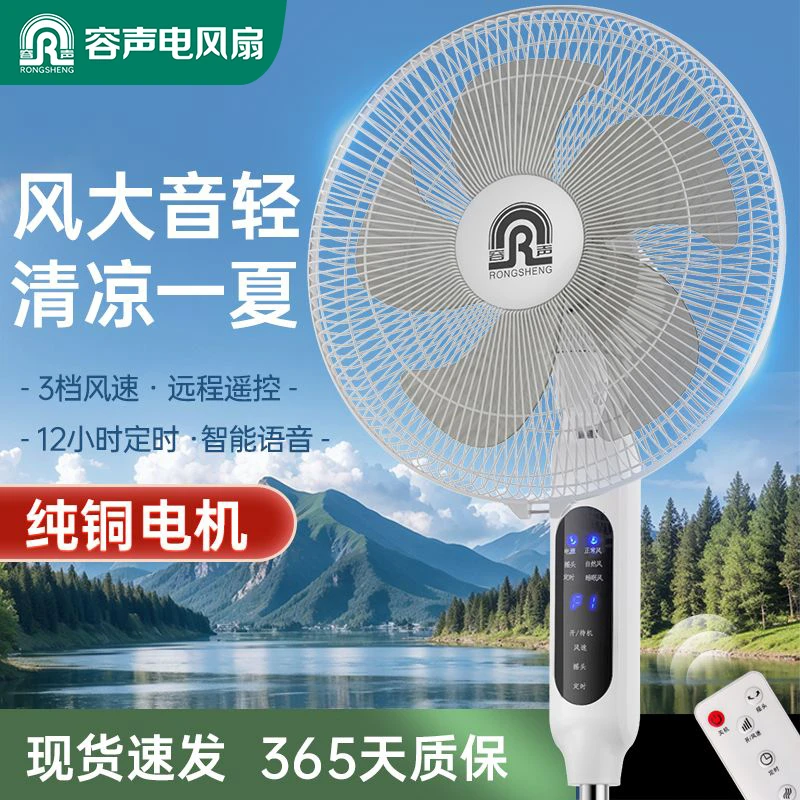容声电风扇家用遥控落地扇立式大风力摇头落地式风扇宿舍节能电扇