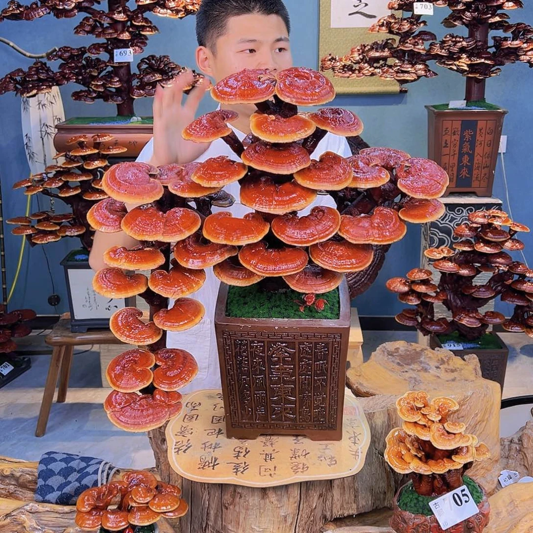 无花朵88888888808888888888