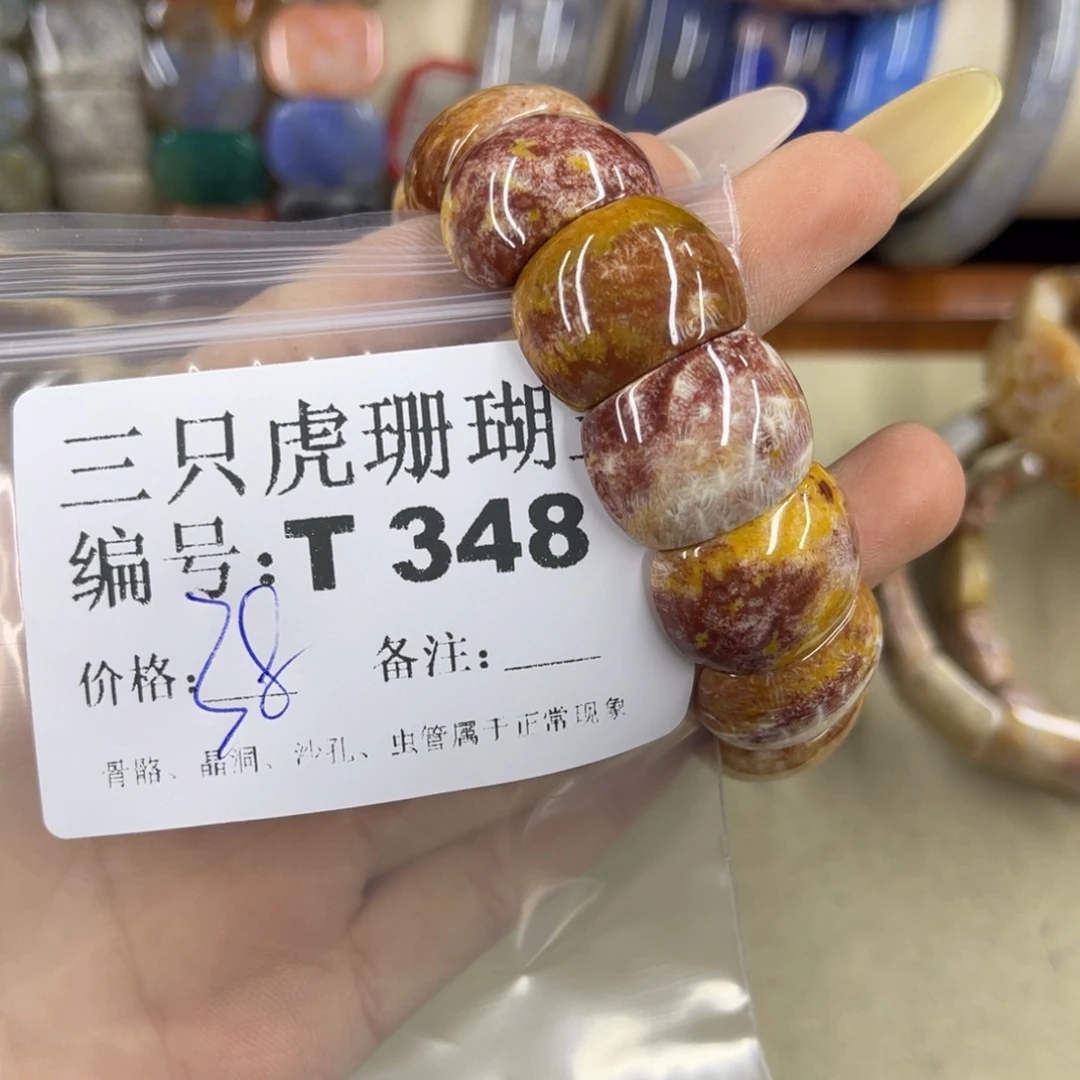 万***帝硅化珊瑚（珊瑚玉）h未镶嵌