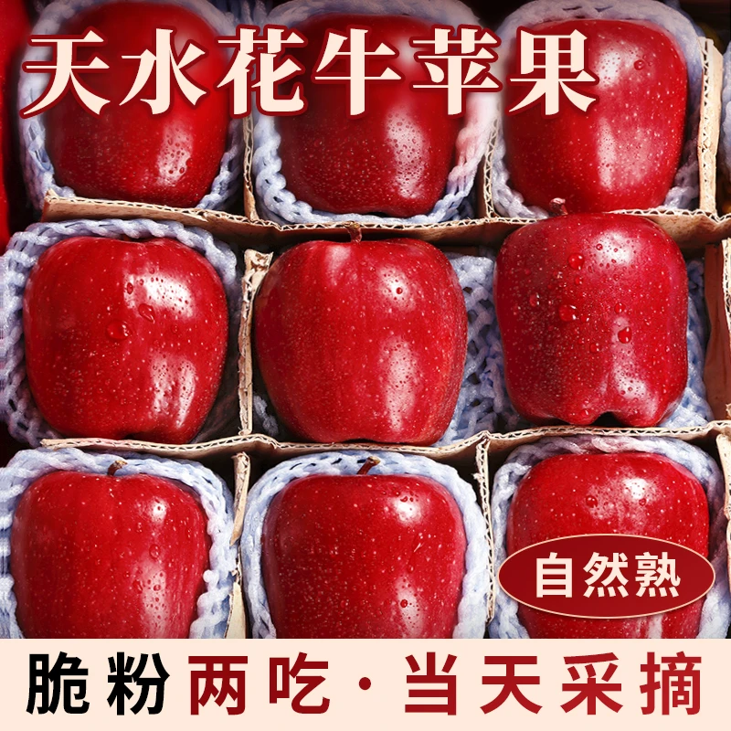 2025年正宗甘肃天水花牛苹果新鲜孕妇水果当季整箱包邮红蛇粉面脆