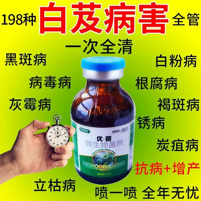 白芨专用杀菌剂防病药治疗死苗烂根腐烂病锈病褐斑病叶枯病农用