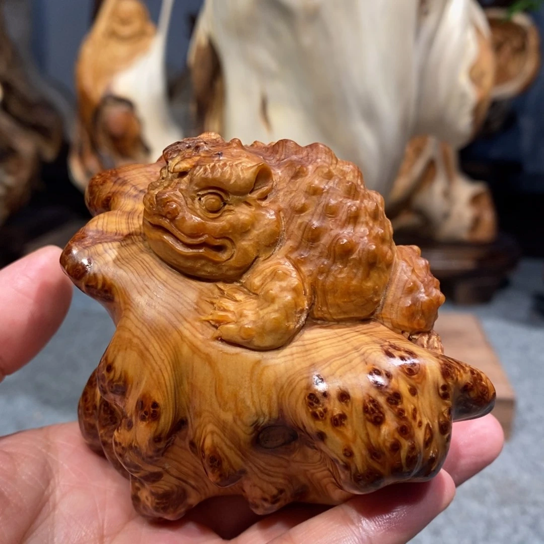 柏木（崖柏）太行崖柏