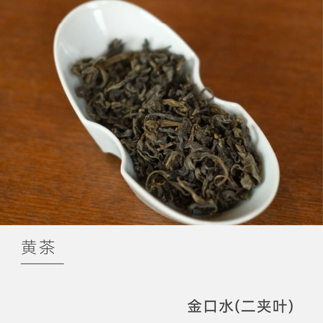 【云人访甄选】雲鹤 金口水（二夹叶）莫干黄茶 茶叶