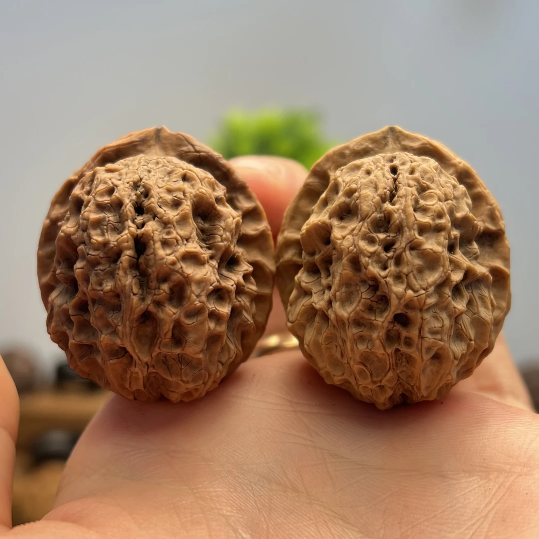 38mm九龙官帽-云南铁核桃一物一图产地直发