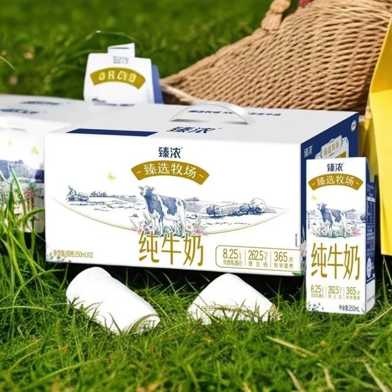 临期伊利11月产臻浓纯牛奶臻选牧场250ml*12盒整箱早餐奶营养